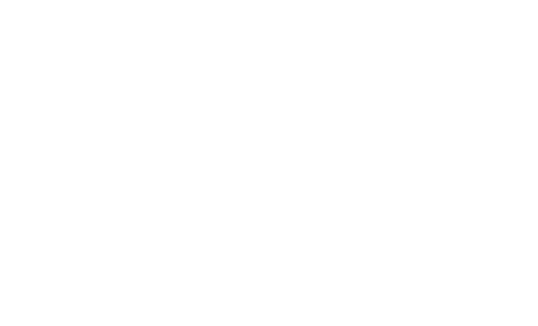 Logo 13