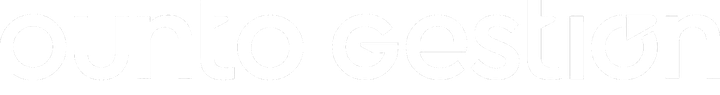 Punto Gestión